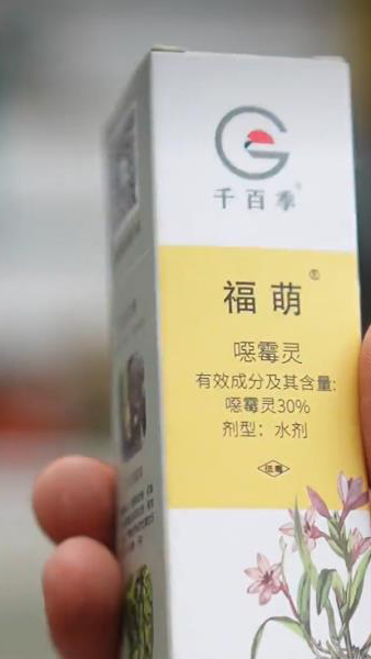 图3.选用福萌噁霉灵治疗（2022年6月13日摄）.jpg