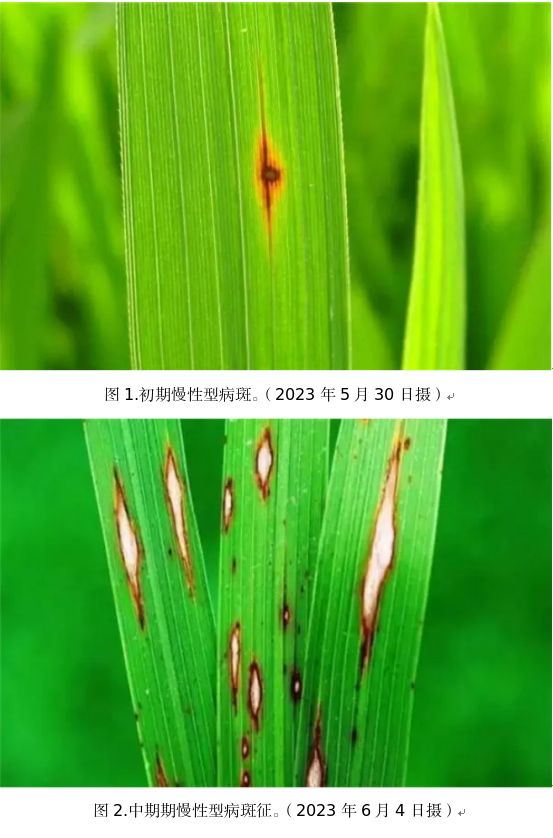 截图_选择区域_20230606100730.png