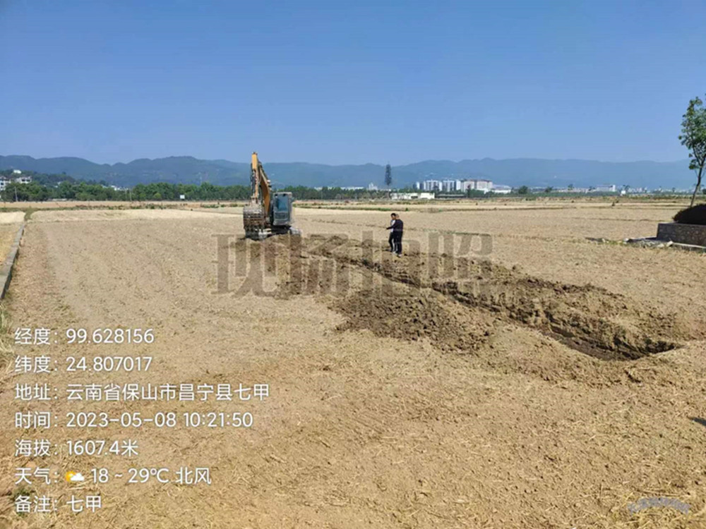 稻田养鱼现场1 (1).jpg
