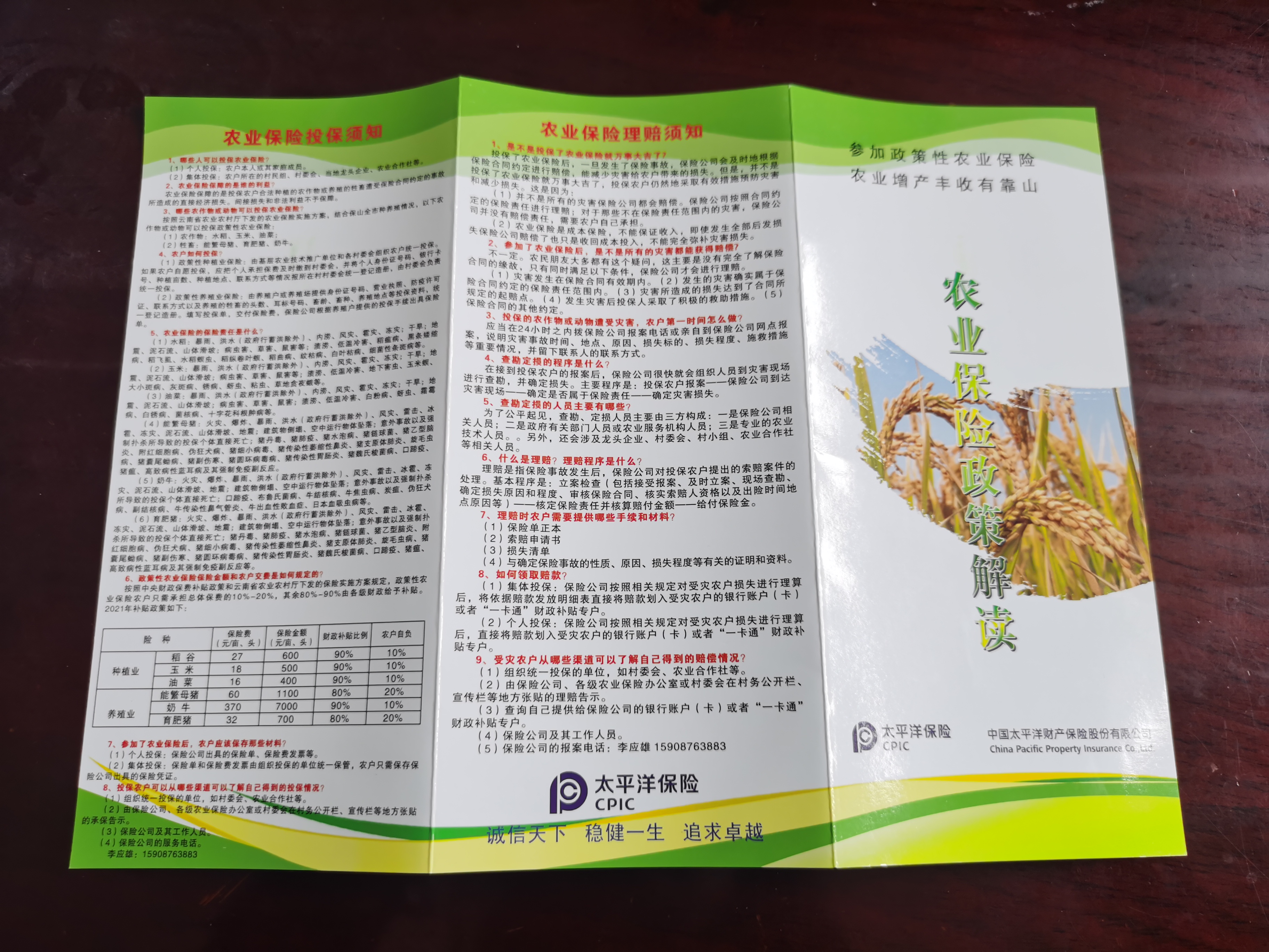 保险公司宣传单，（2023年6月5月拍摄）.jpg