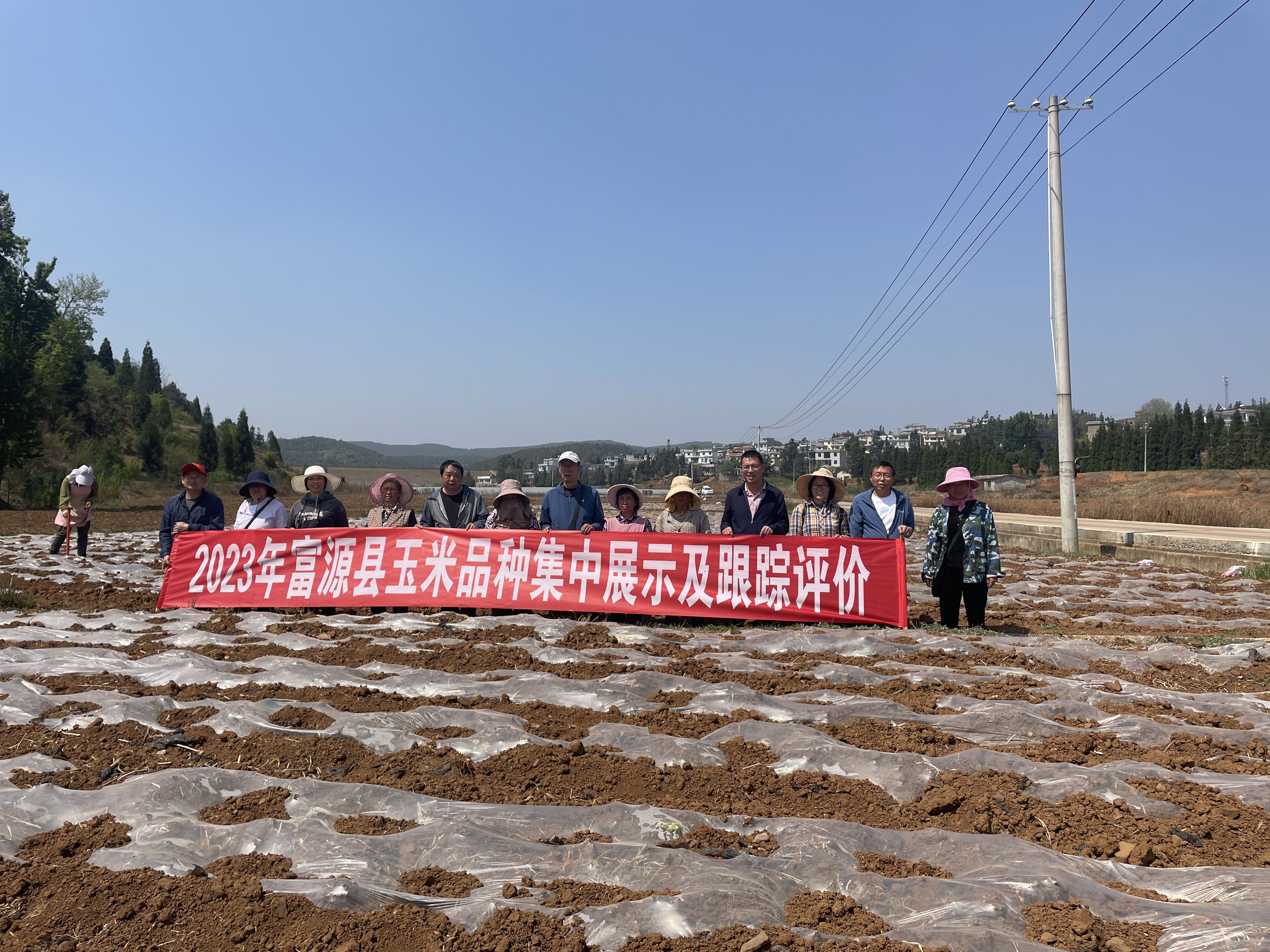 图1.富源县农业农村局在后所镇外后所村委会后河村进行玉米品种集中展示。（2023 年4月28日摄）.jpg