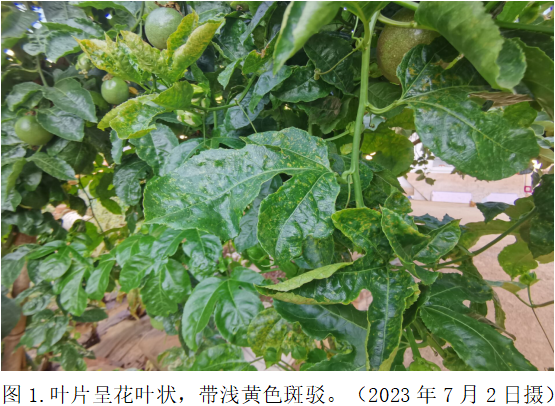 图1.png