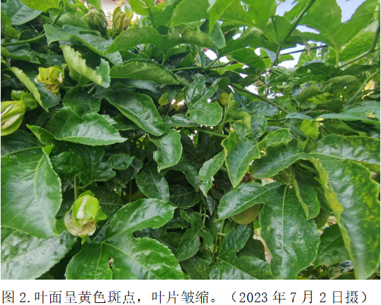 图2.png