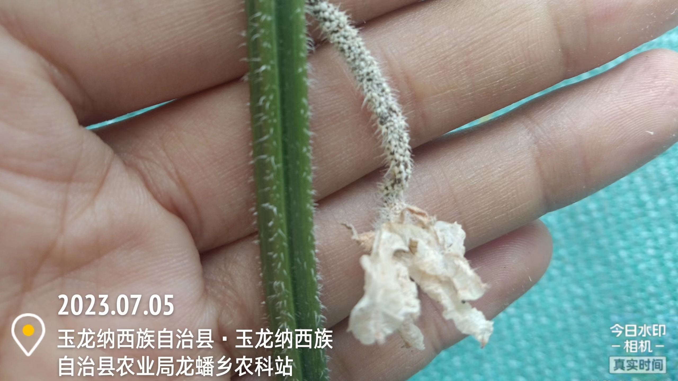 5e27b938a8efcba0a1d92ba4ea204c5.jpg