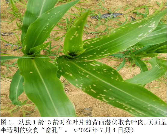 图1.png