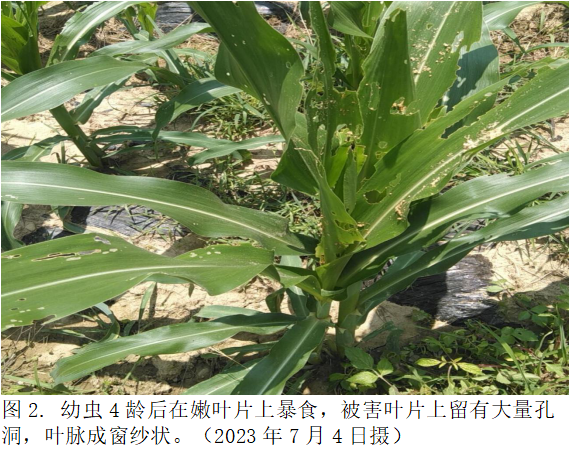 图2.png