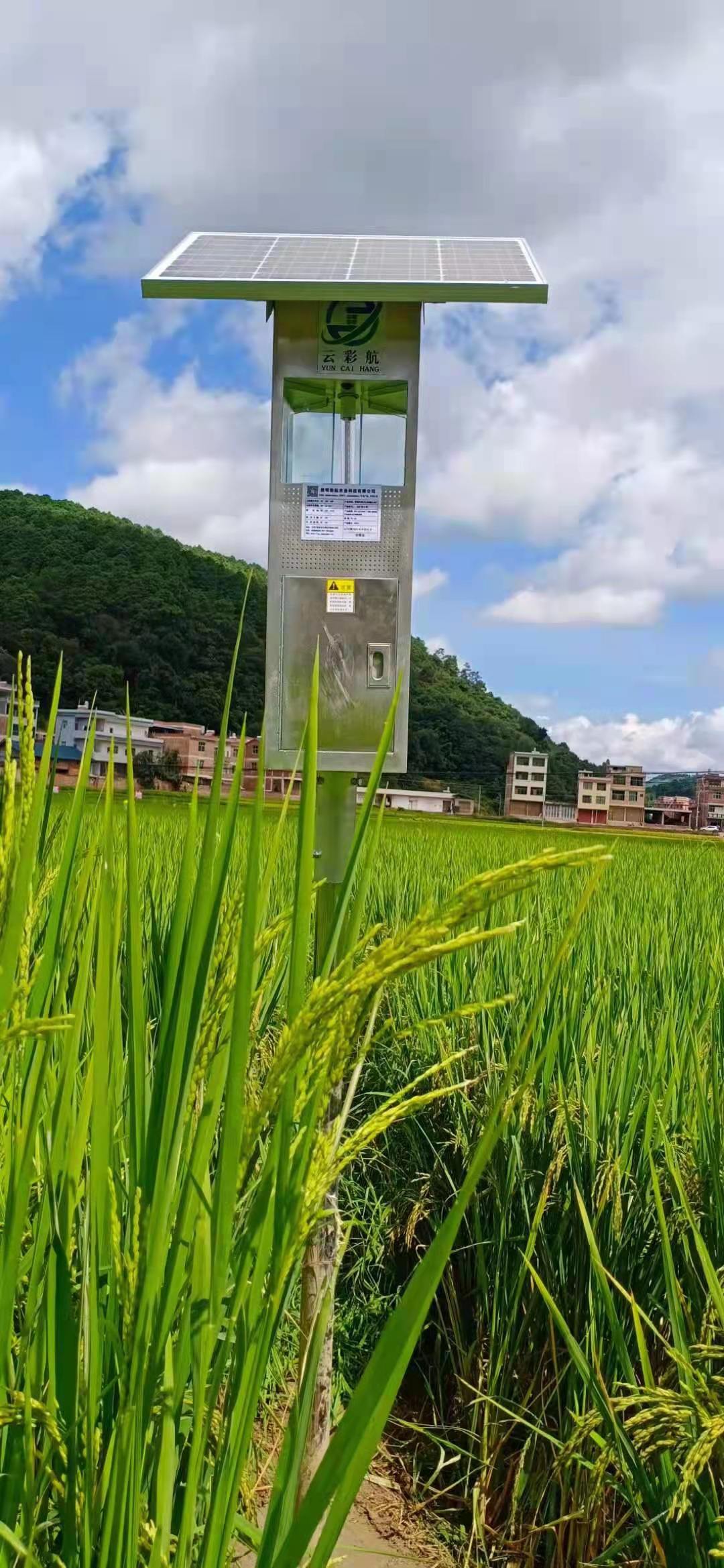 图3.水稻的太阳能杀虫板。（2022年8月9日摄）.jpg