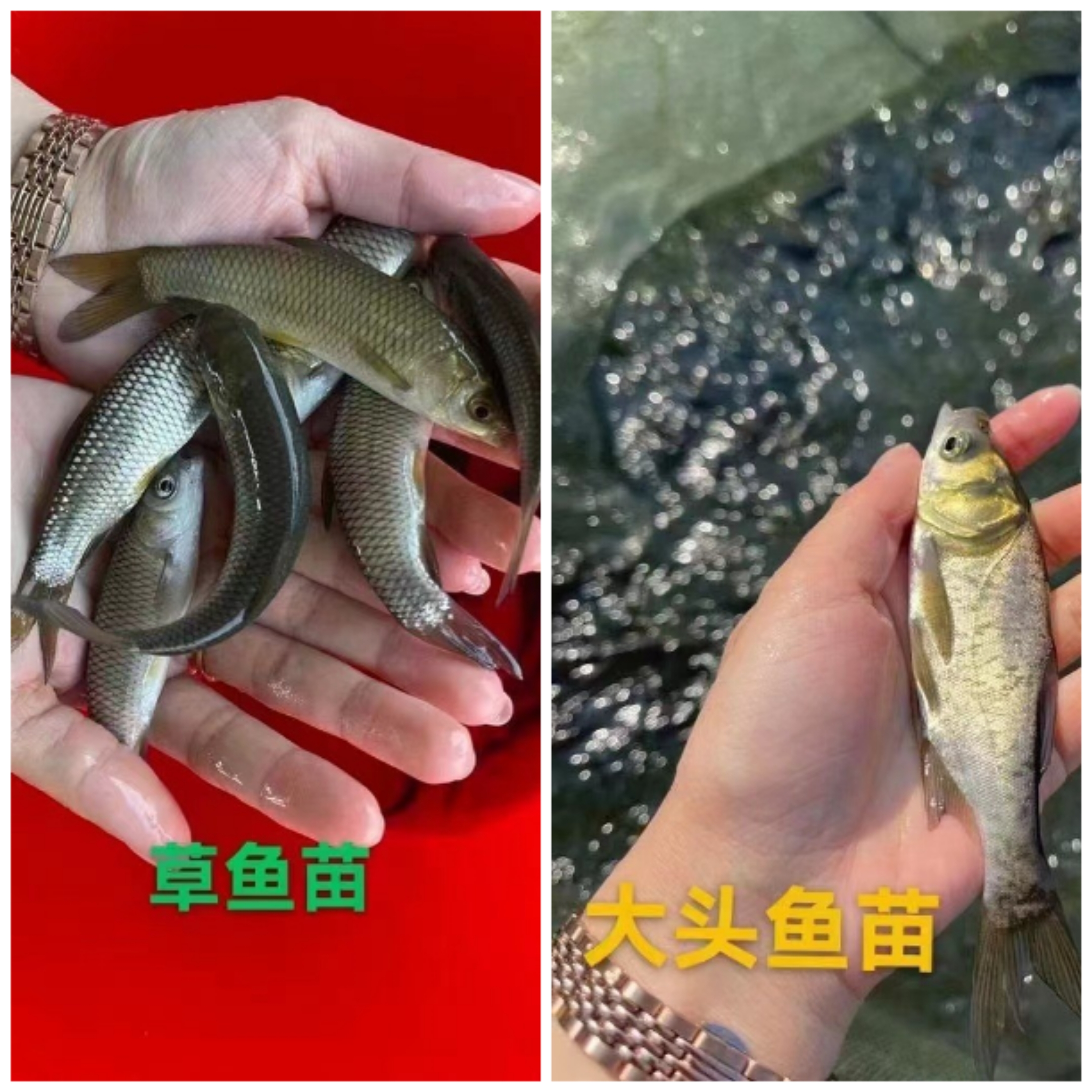 图8.jpg