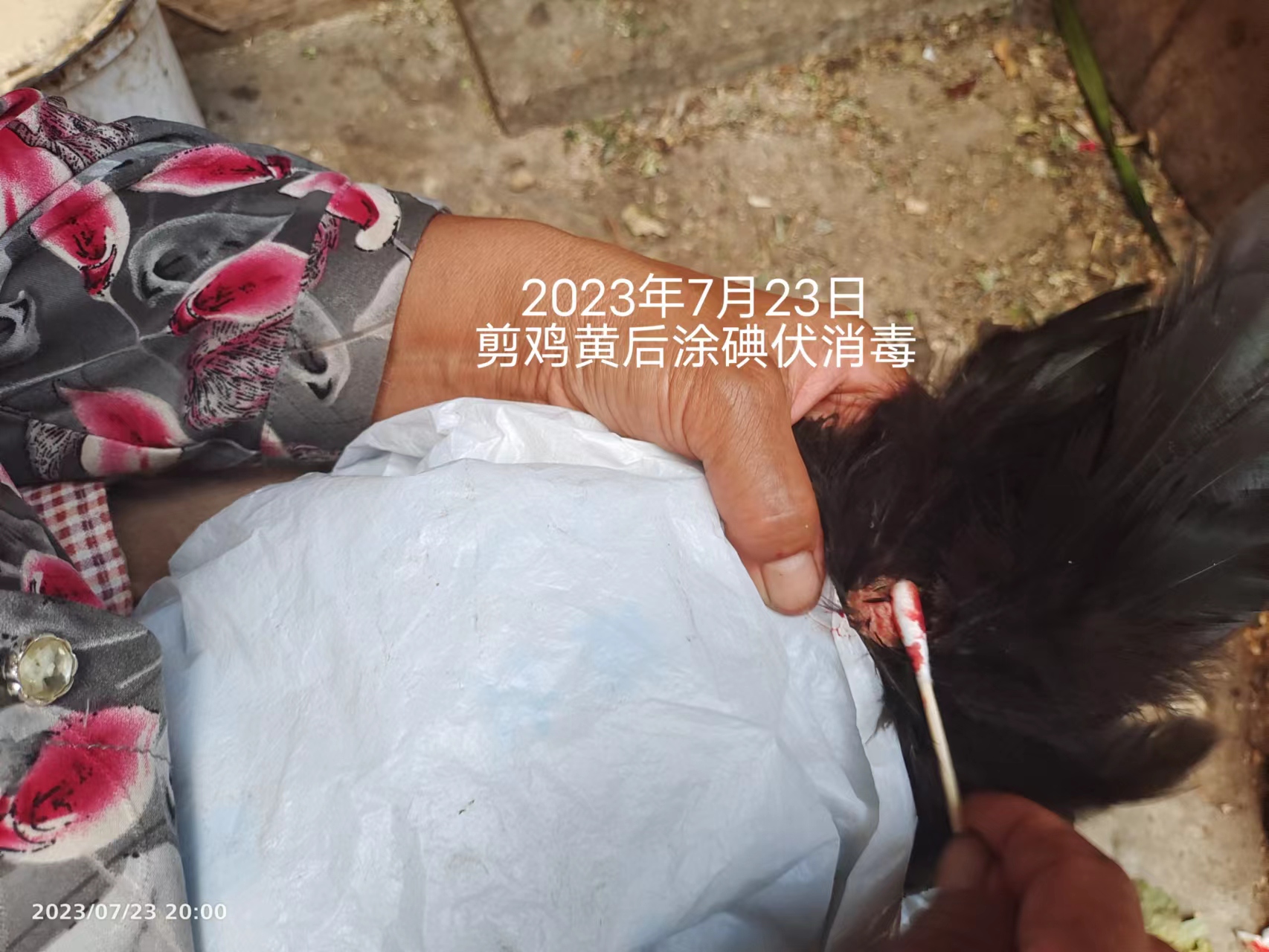 be3e15166a32b5e9947d288b7603f92.jpg