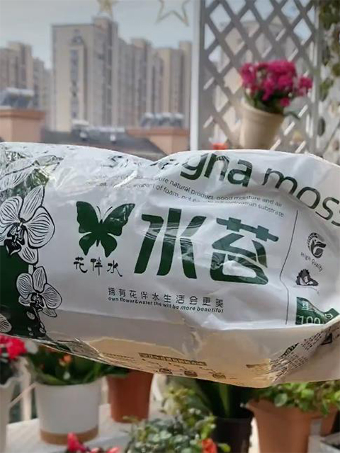 图4.选用的新水苔。（2023年4月4日摄）.jpg