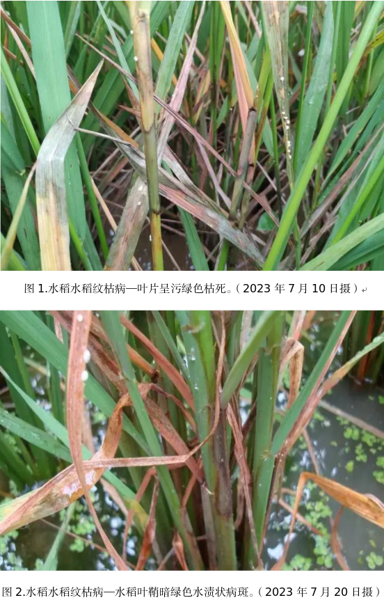 截图_选择区域_20230726111313.png