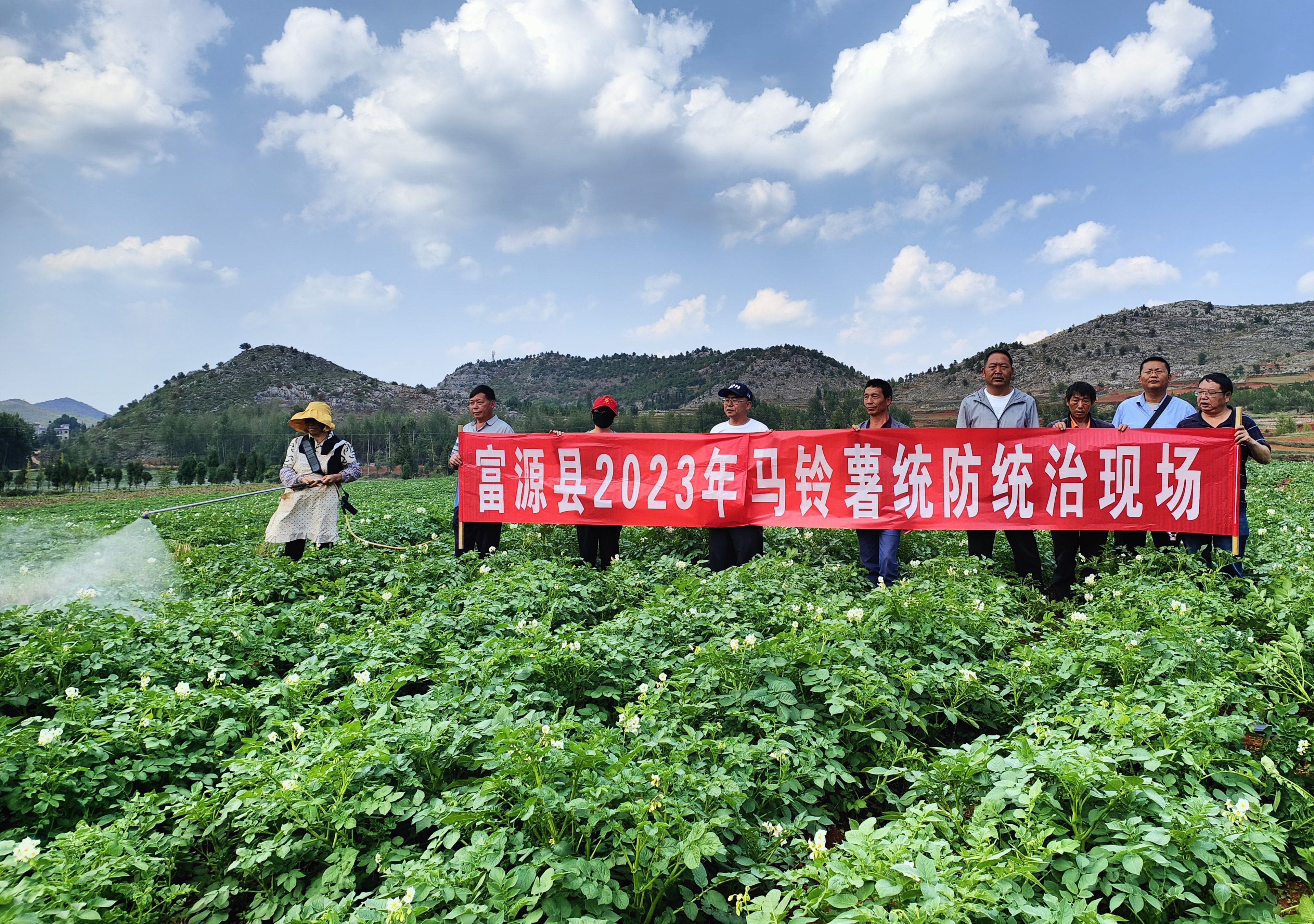 图1.富源县农业农村局在后所镇双诺村开展马铃薯统防统治。（2023年7月6日摄）.jpg