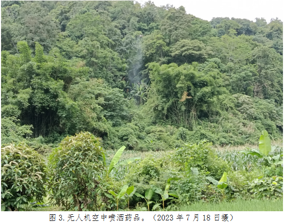 图3.无人机空中喷洒药品.png