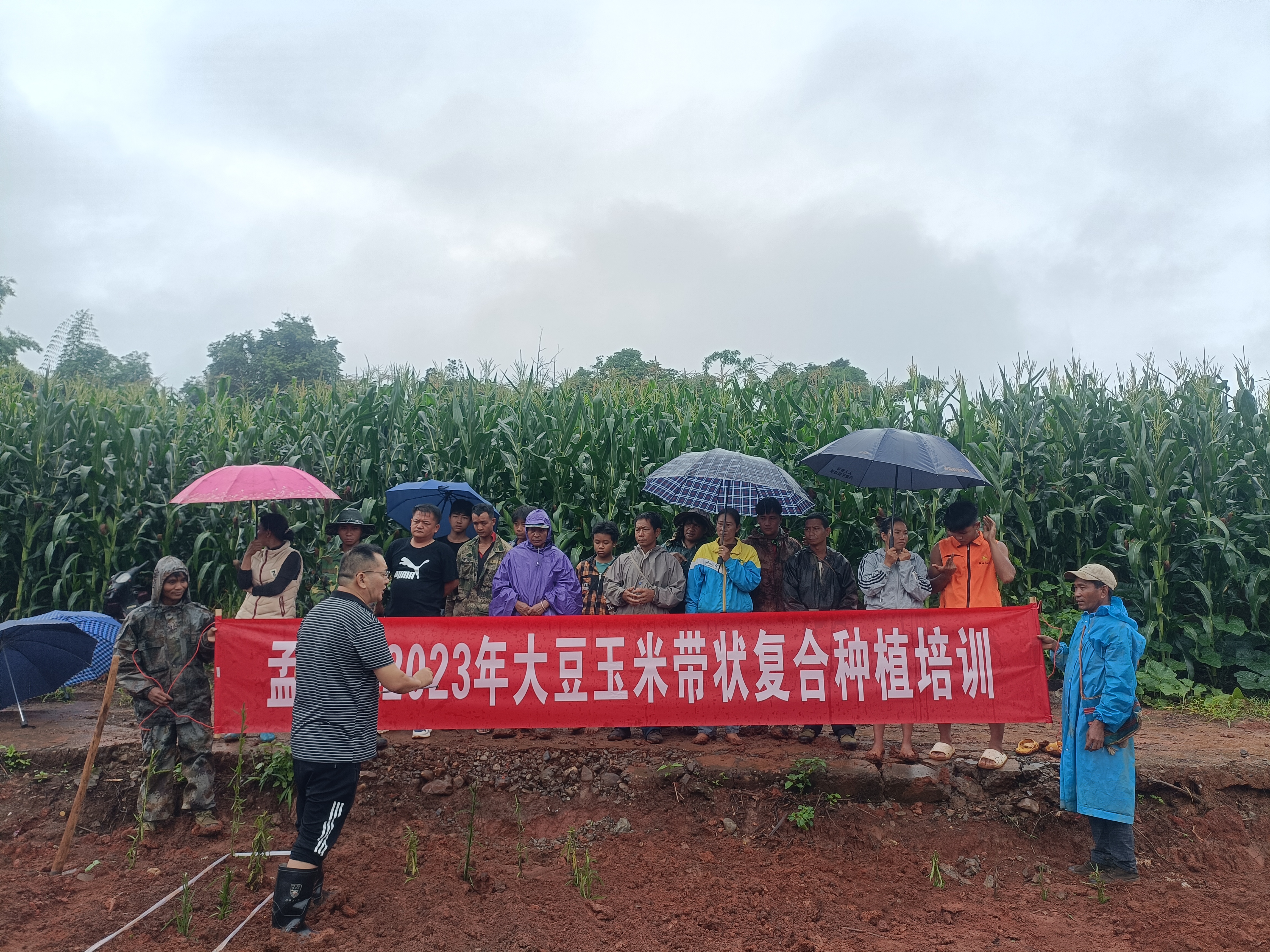 图1.大豆玉米带状间套种技术培训.jpg