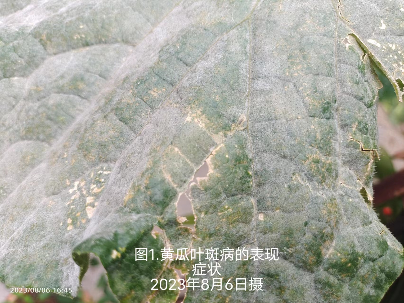 4df92598844cf8871554add053a5471.jpg
