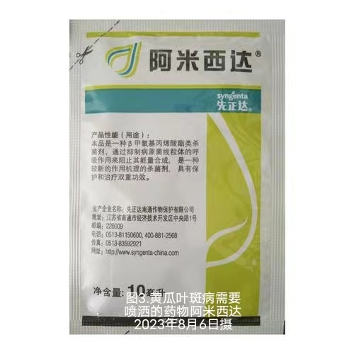 3f4351ac1ddf91a9711b9e47da2f0c7.jpg
