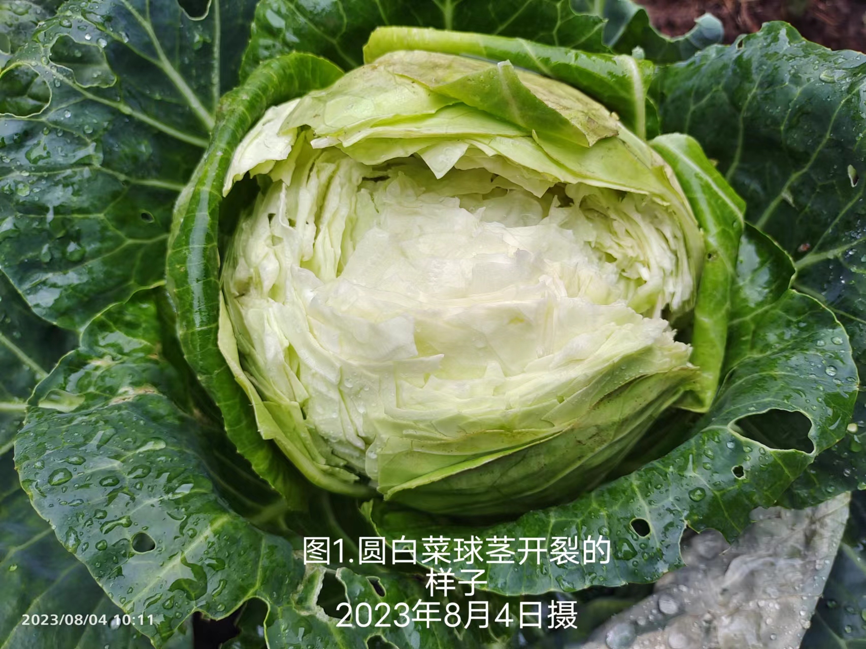 f257d4771c504274b96f41ee0996eb3.jpg