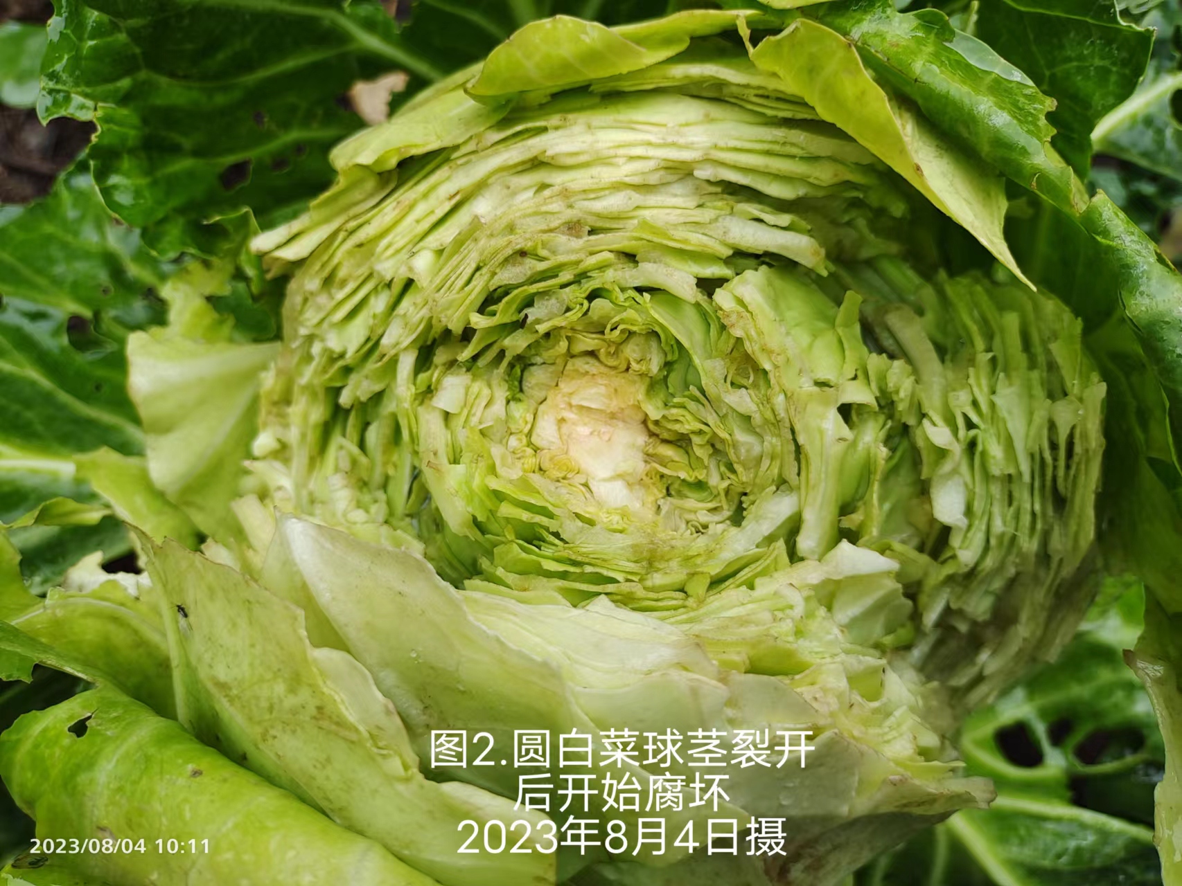 ab84ea28af0f897bb8bbaabbf4ef65e.jpg