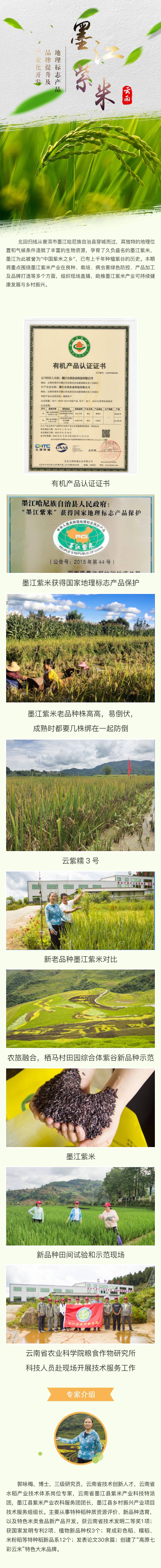 地理标志产品“墨江紫米”品牌提升及产业化开发.jpg