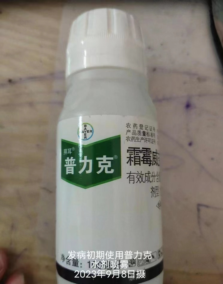 6b468245bacfcb3982712fee931b46a.jpg