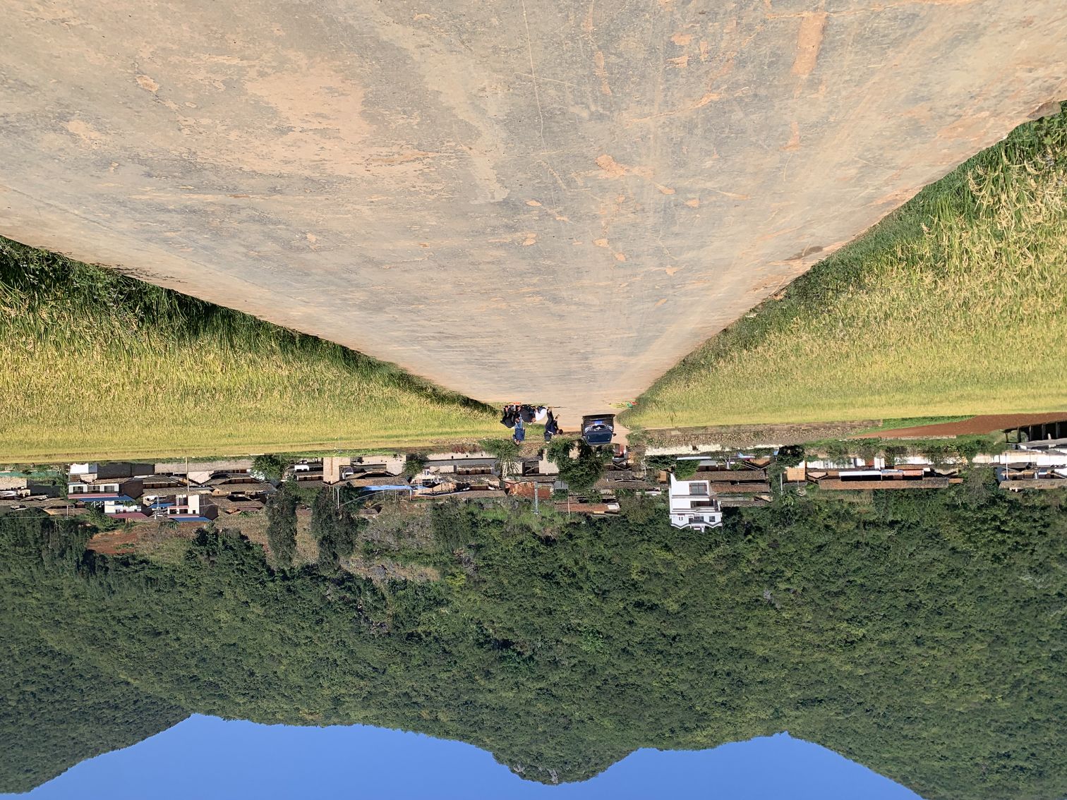 1695000457388069176.jpg