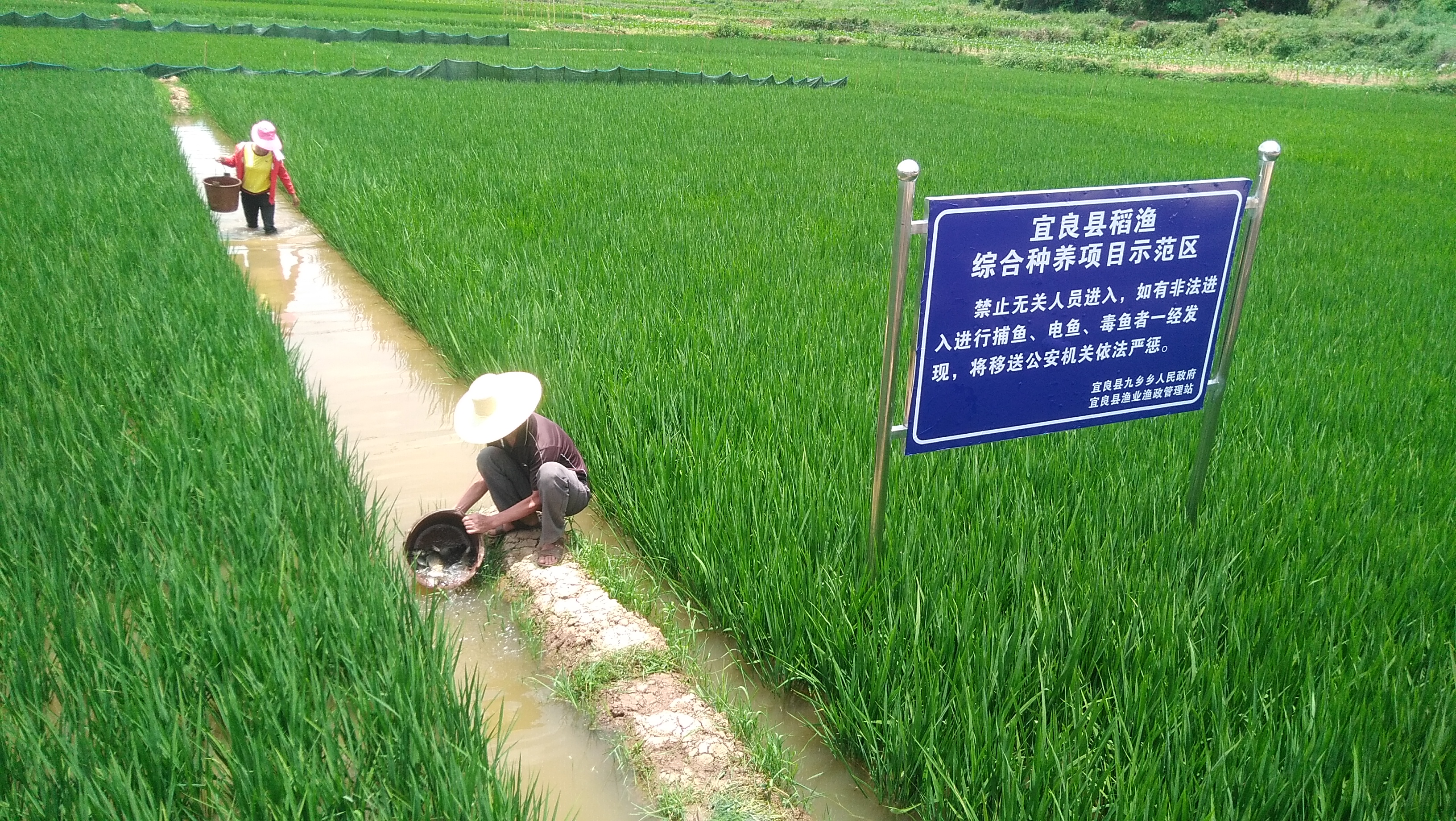 图6.jpg