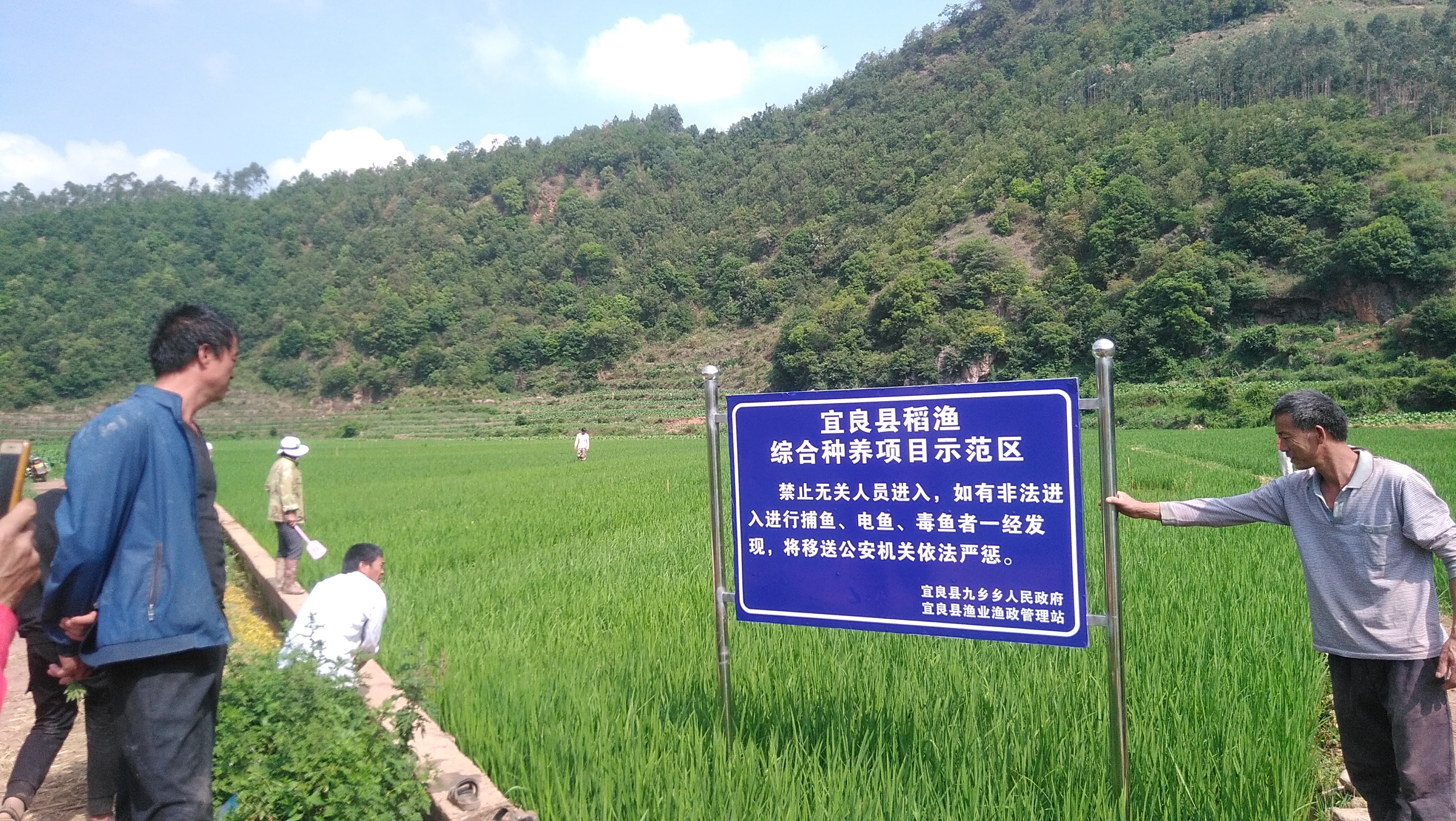 图7.jpg