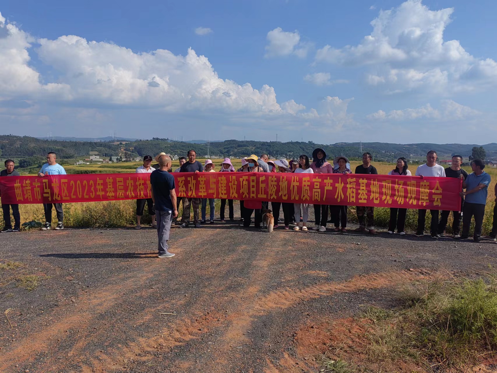 丘陵地水稻栽培技术观摩会.jpg