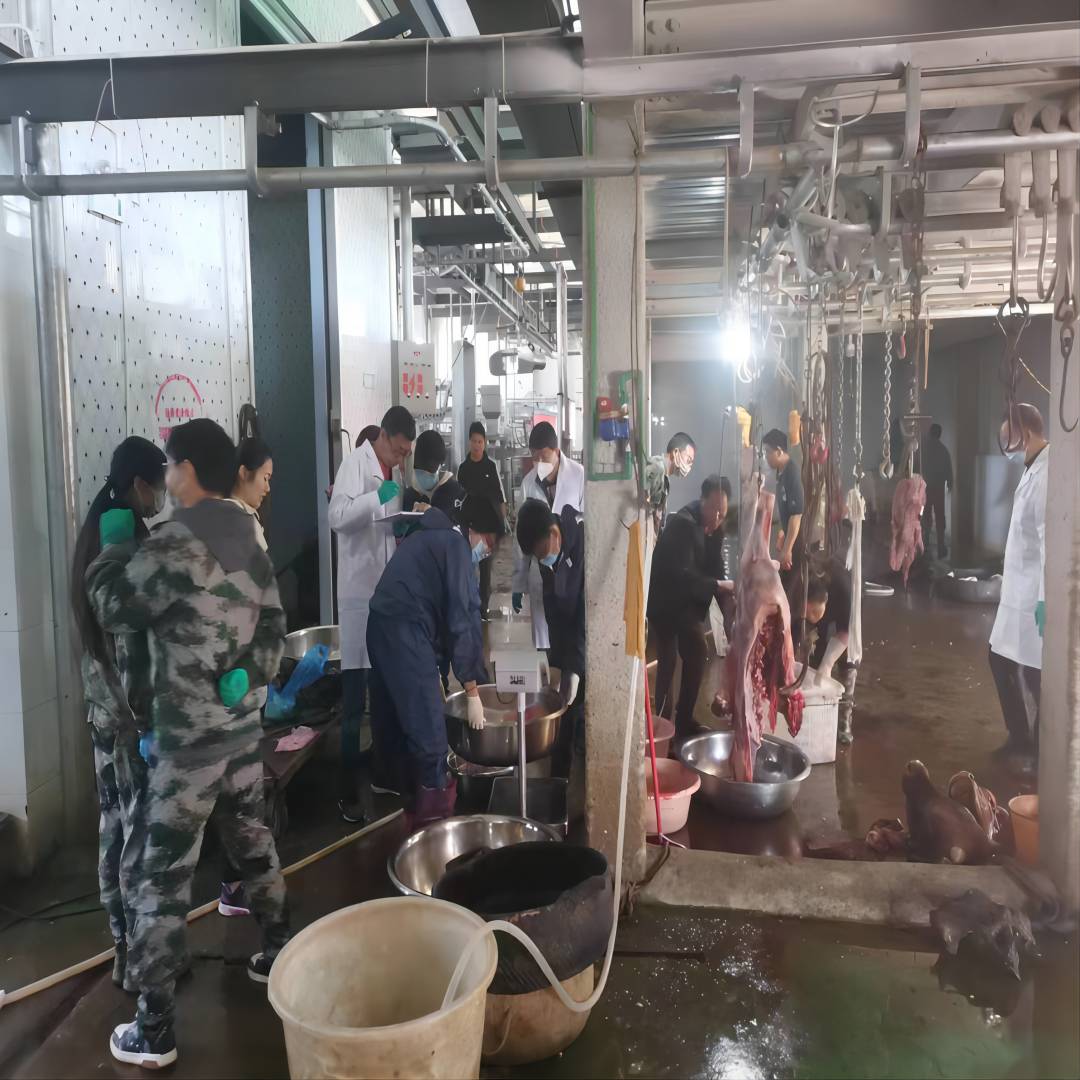 图2.  滇中牛屠宰（2023年3月25日摄）.jpg