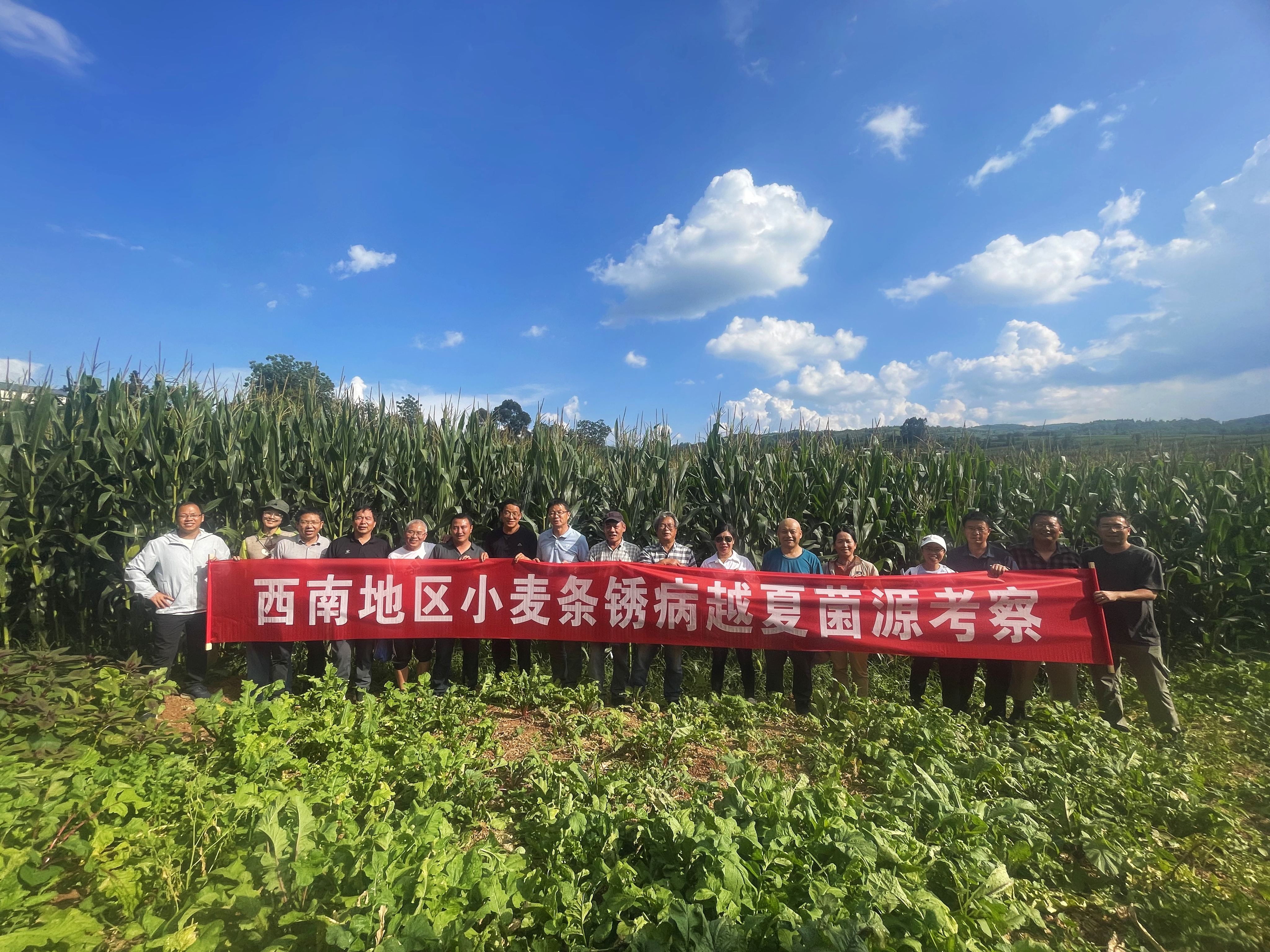 图1.西南地区小麦条锈病越夏菌源考察组莅临富源县考察。（2023年9月9日摄）.jpg