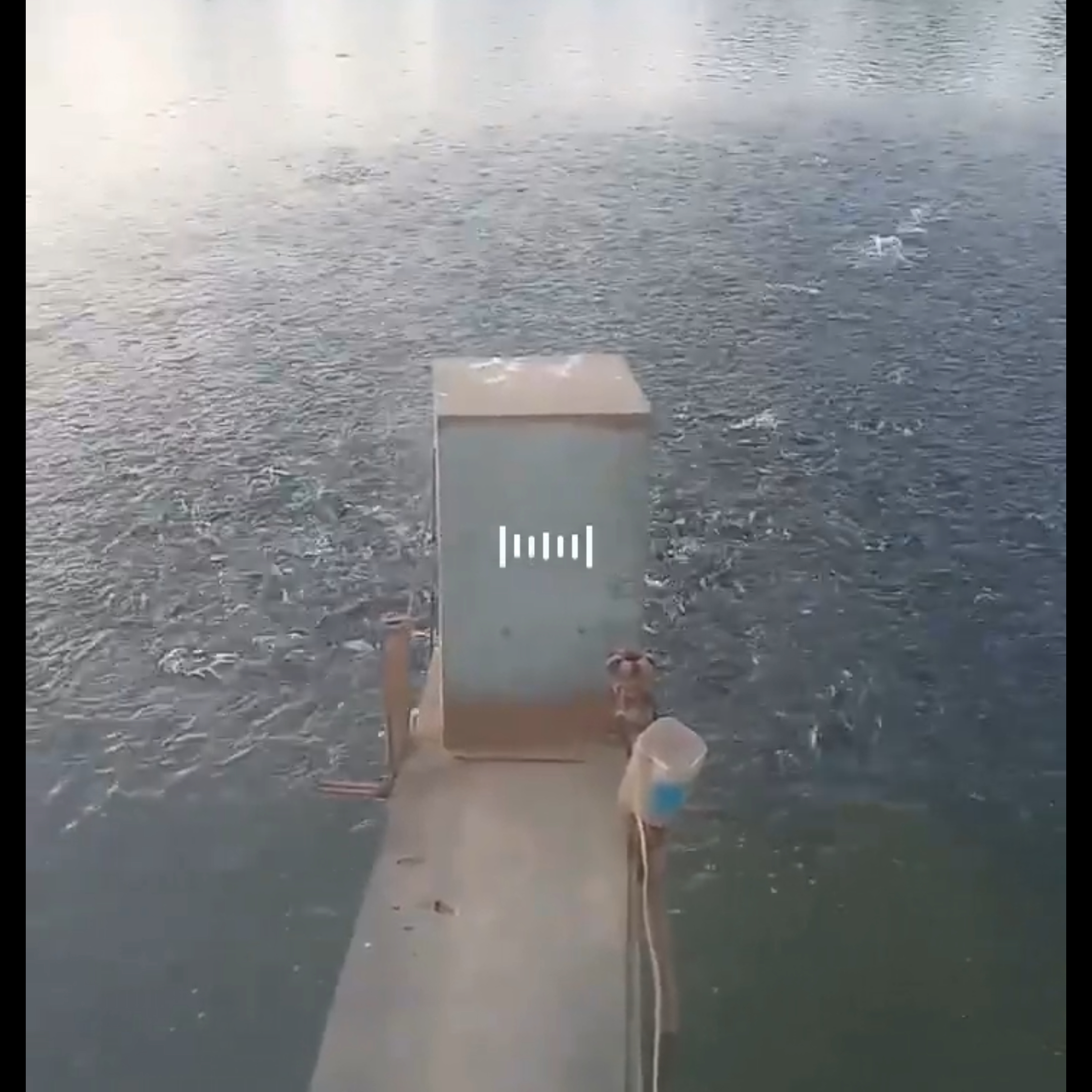1703068555274041003.jpg