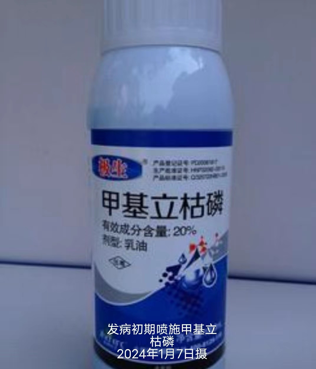 55cb61b8ca830705bebb3f588ecf1e9.jpg