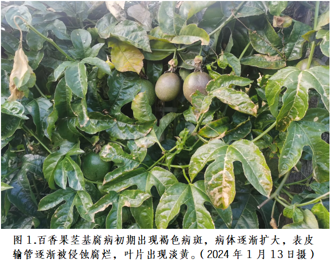 图1..png