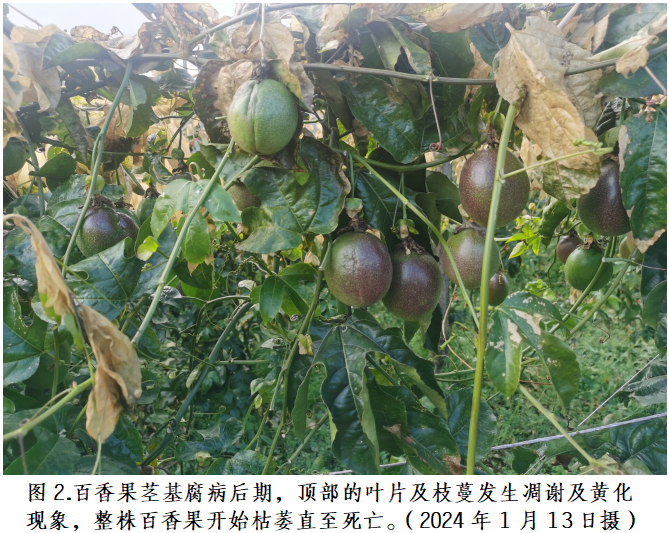 图2..png