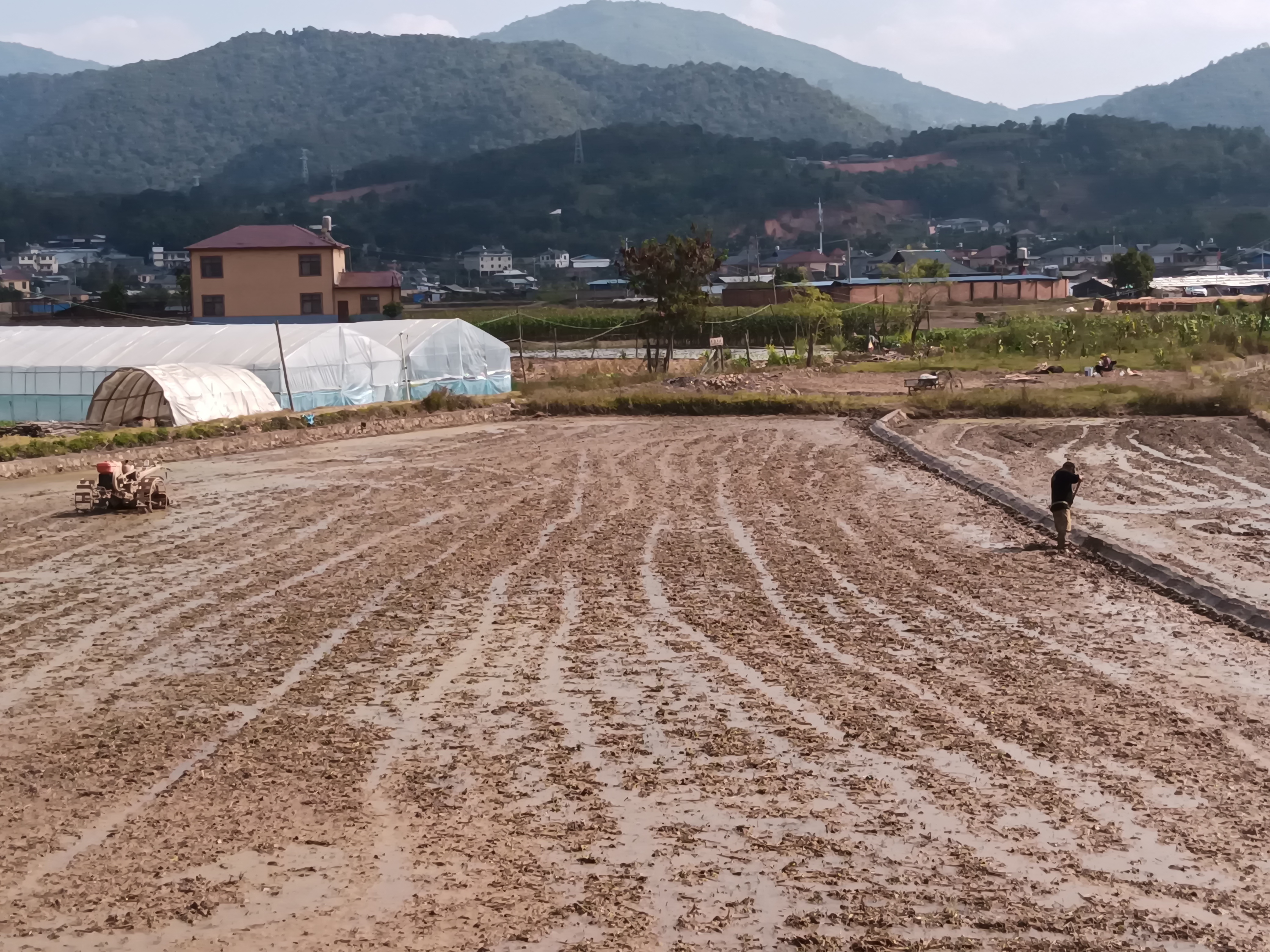 图3.孟连县稻田整地图片.jpg