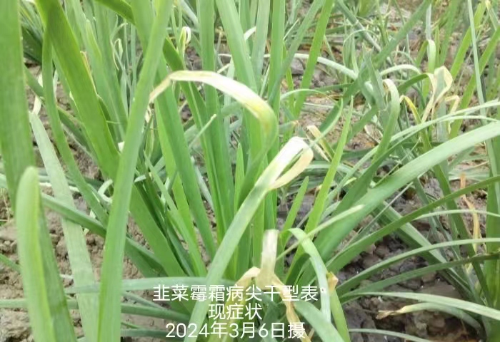3c13edf54ed271ab154fdd6e57aa85a.jpg