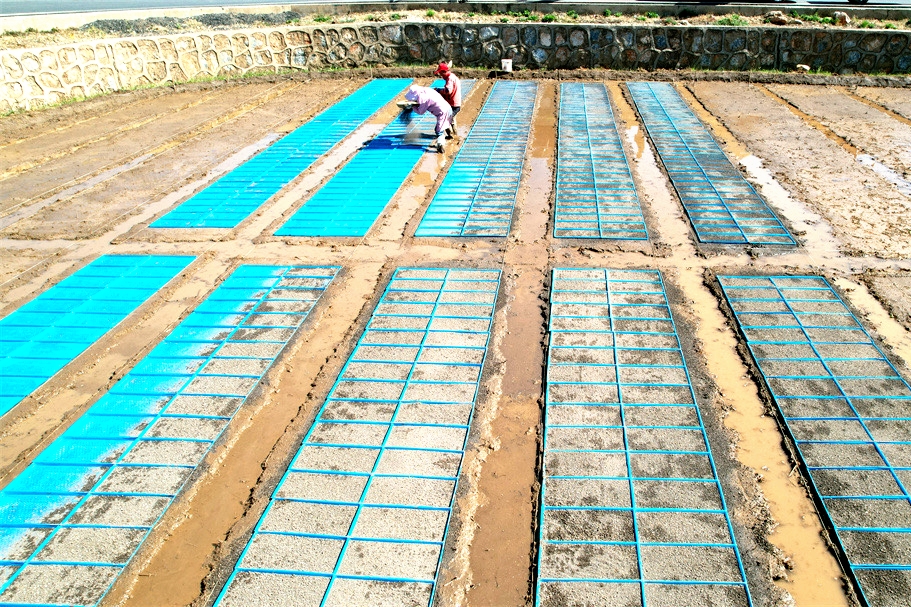 1710849502758020696.jpg