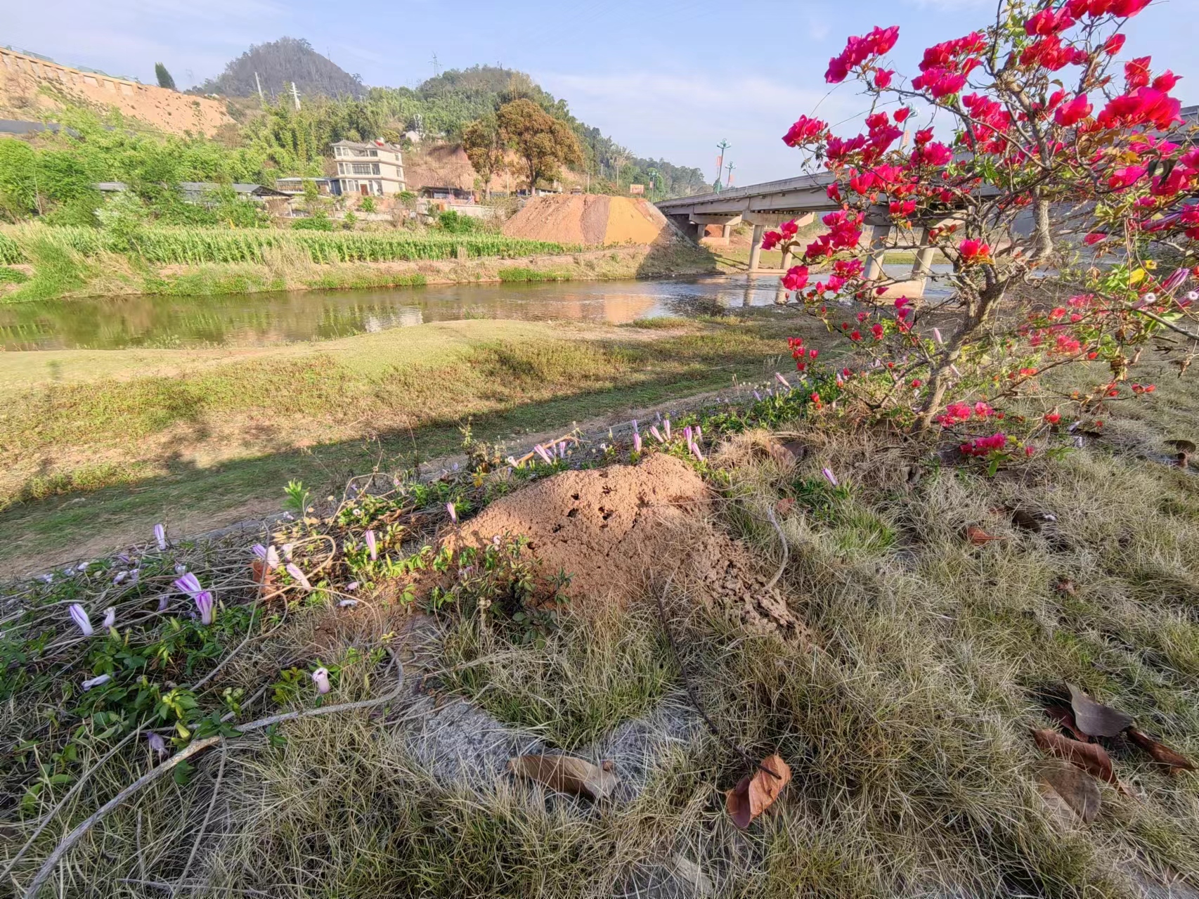 1710919331053073164.jpg