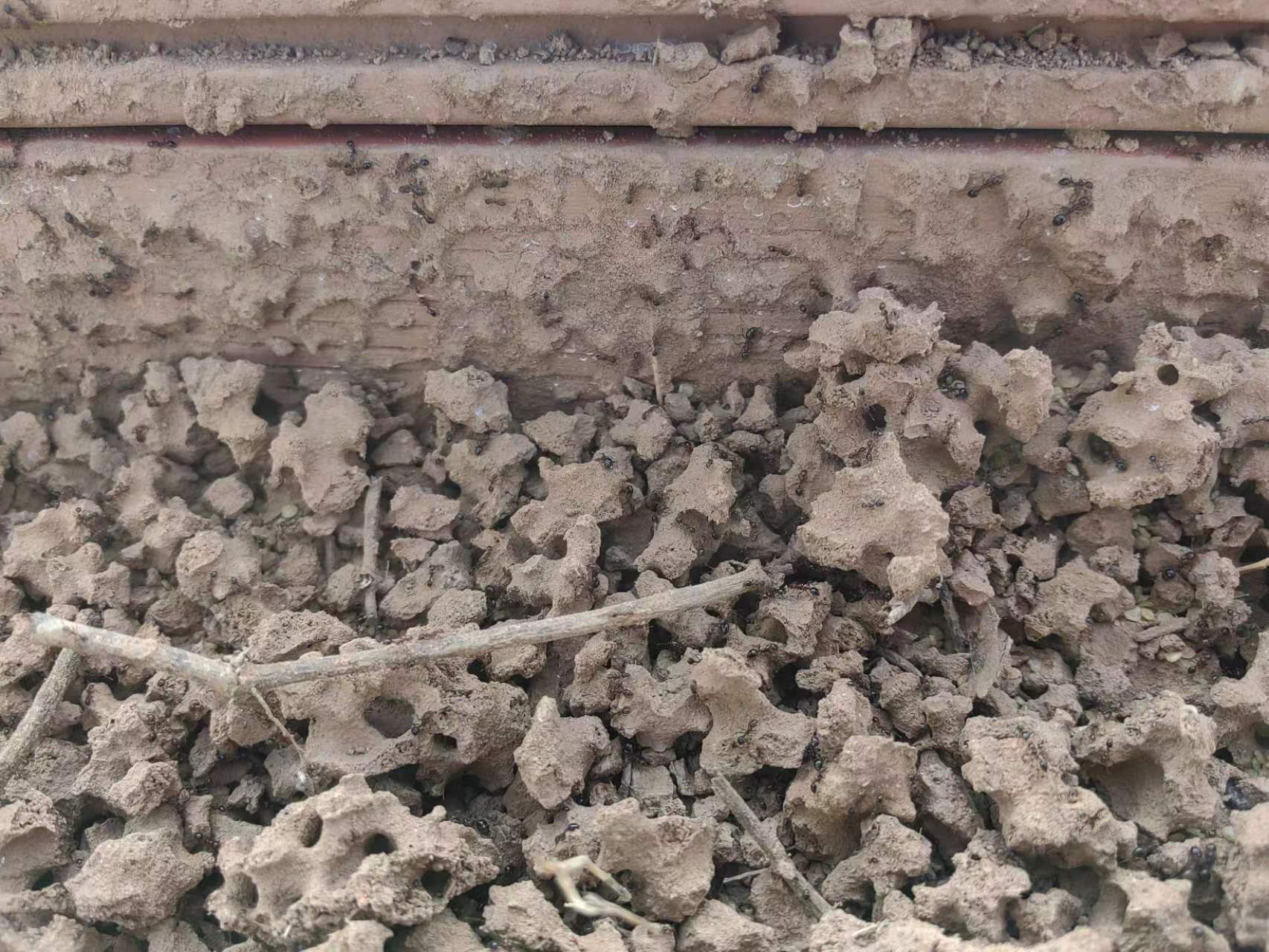 1710919897538018701.jpg