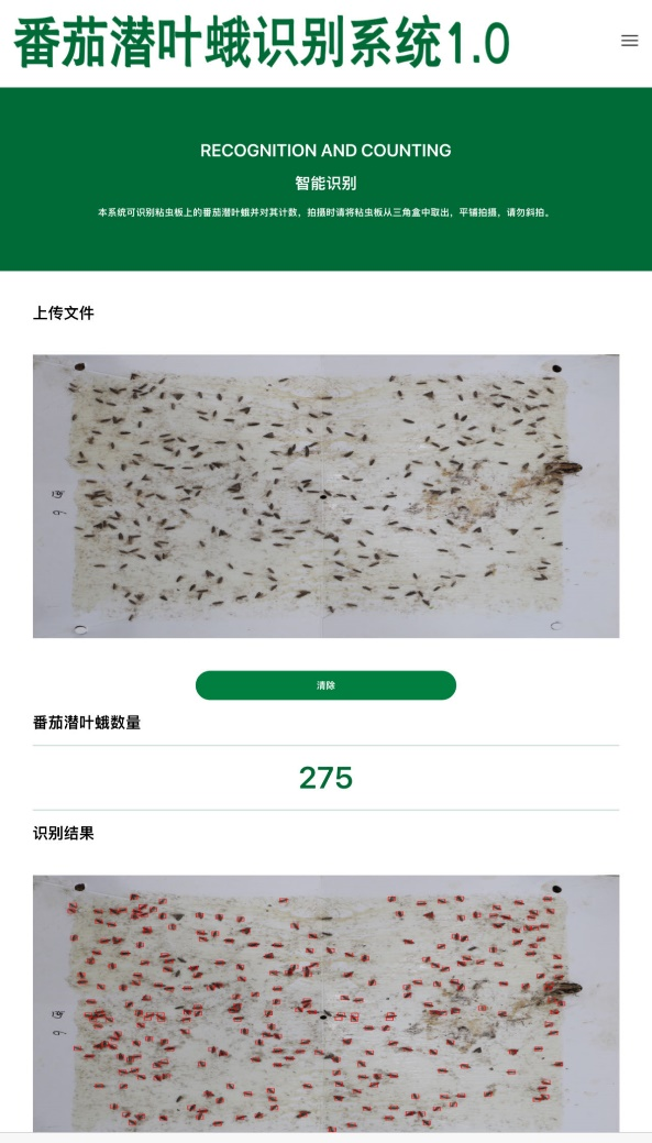 图片2.png