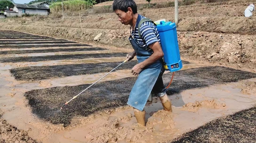 图4.jpeg