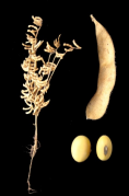 1702265268420000719 (1).png