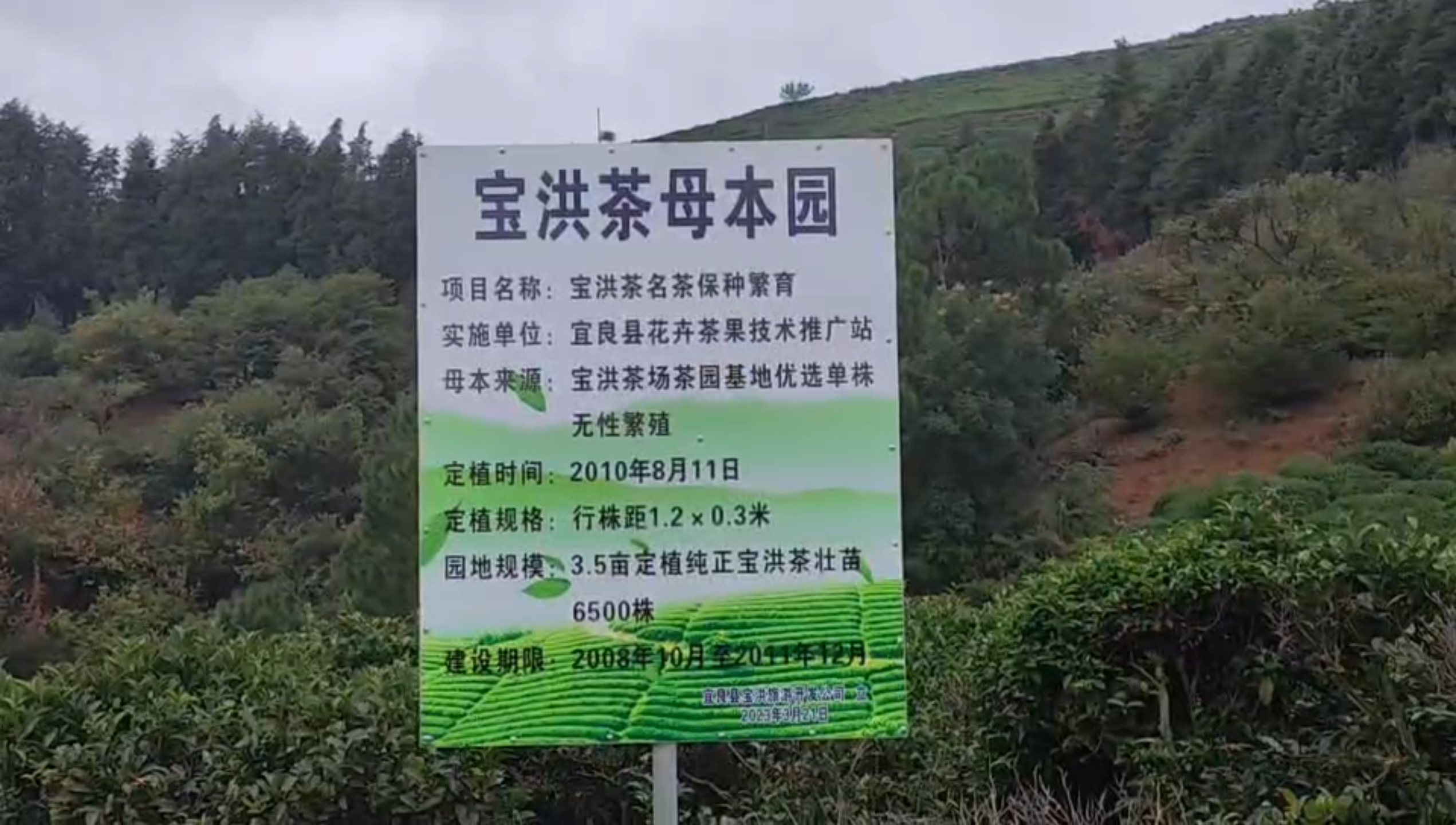 图2.png