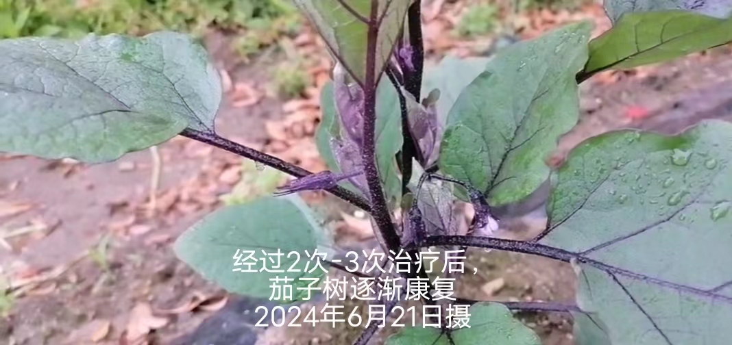 eabe36325dc3990fe273d0b30053586.jpg
