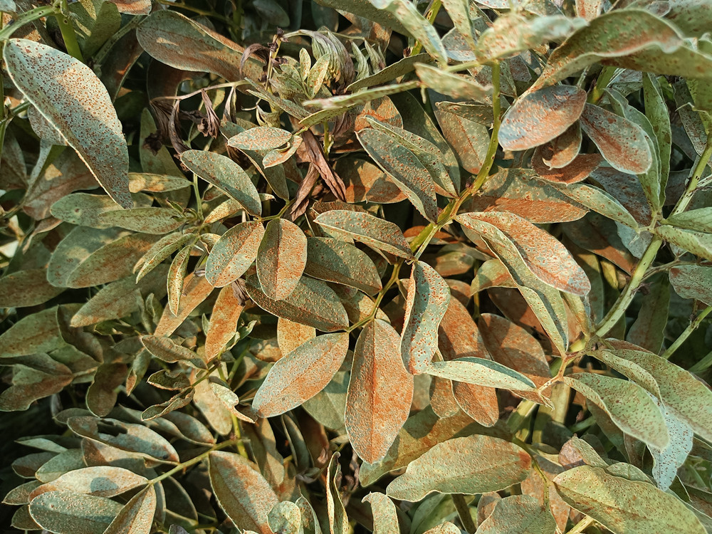 IMG20240328101032_副本.jpg