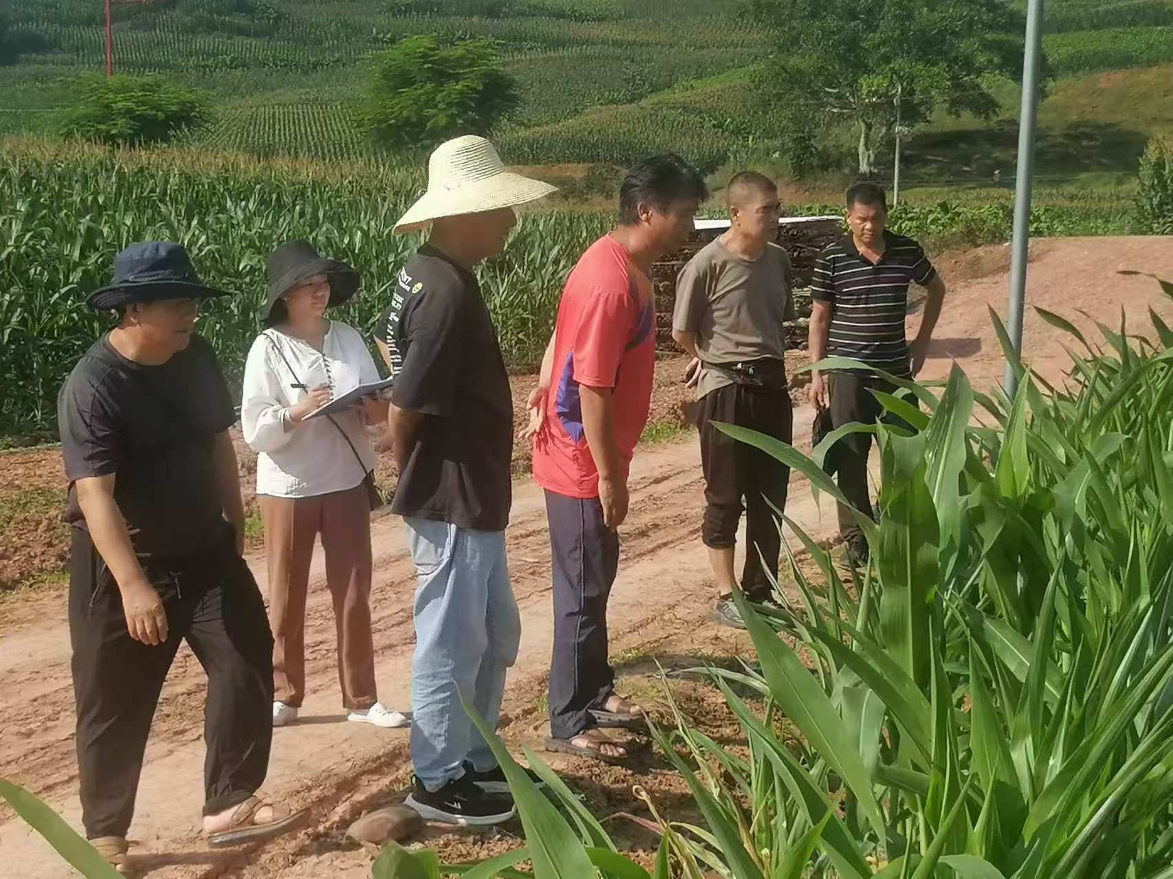 图5.jpg