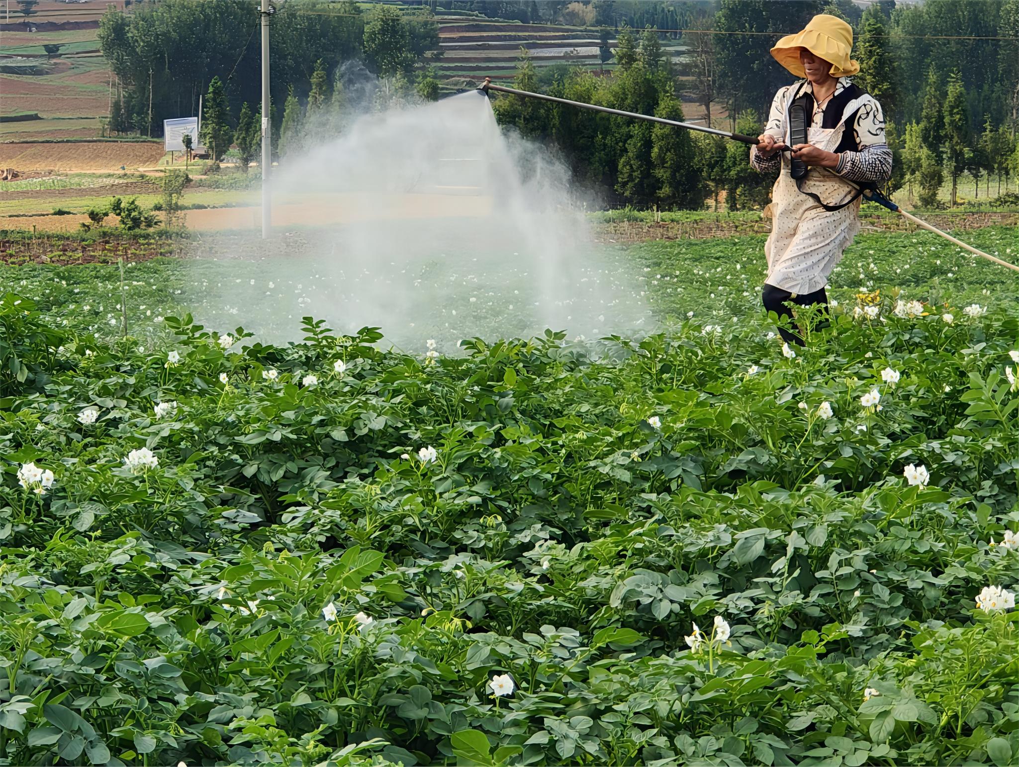 微信图片_20240904092801(1)(1).jpg