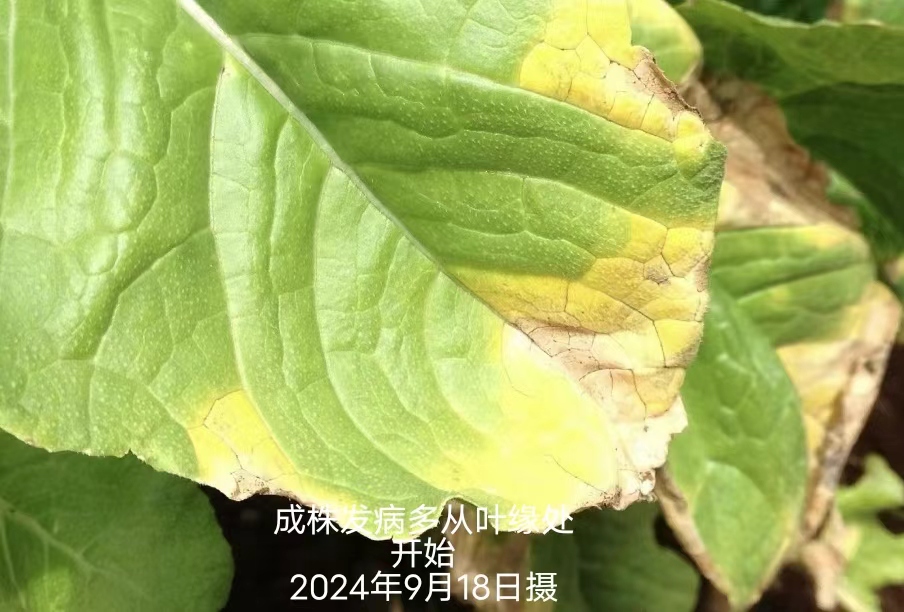 7894d0e181011edd22ef4a69d97a927.jpg