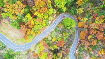 2.gif