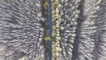 7.gif